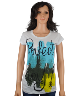 graphic Tee "Perfect Day!"